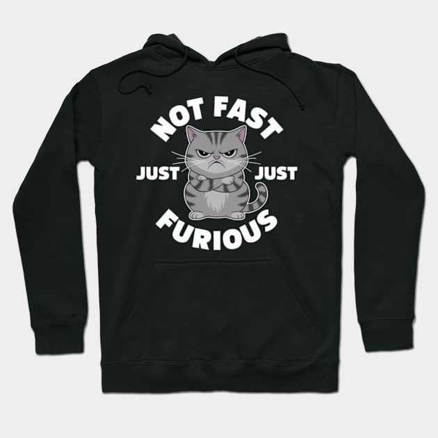 The image features a grumpy-looking cat with the text “NOT FAST JUST FURIOUS” surrounding it (3) Hoodie by YolandaRoberts